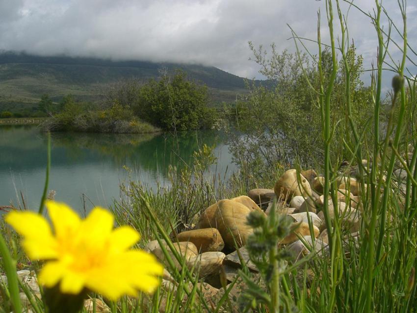 Al Viento, Alojamiento & Turismo Rural Pradena Del Rincon Extérieur photo