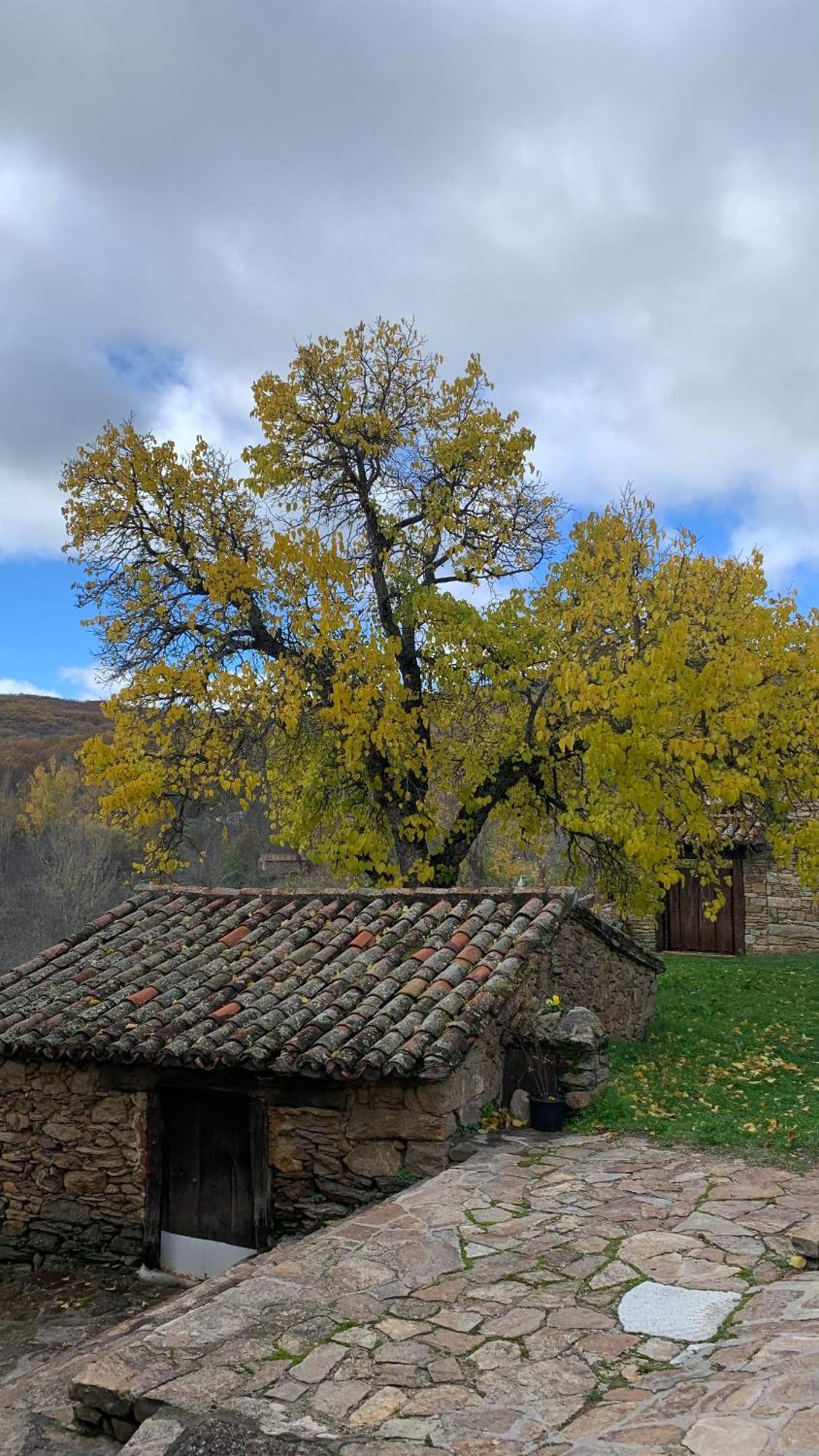 Al Viento, Alojamiento & Turismo Rural Pradena Del Rincon Extérieur photo