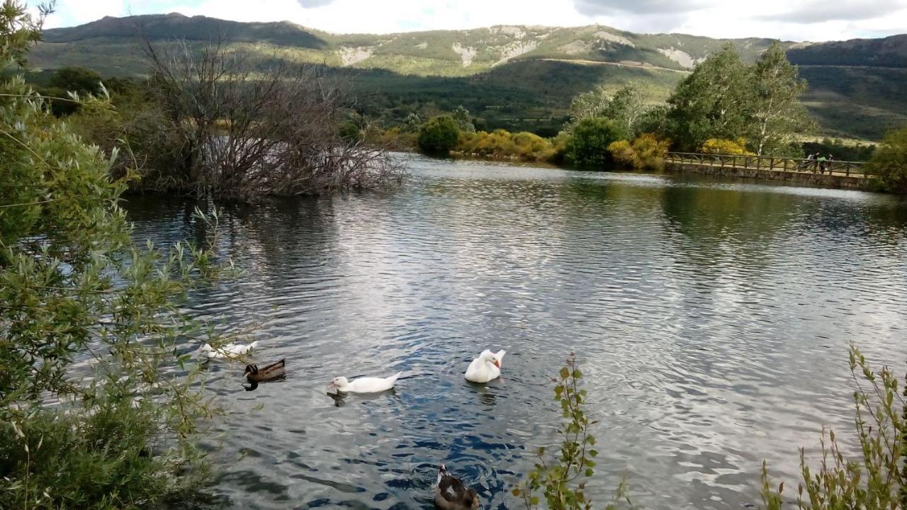 Al Viento, Alojamiento & Turismo Rural Pradena Del Rincon Extérieur photo