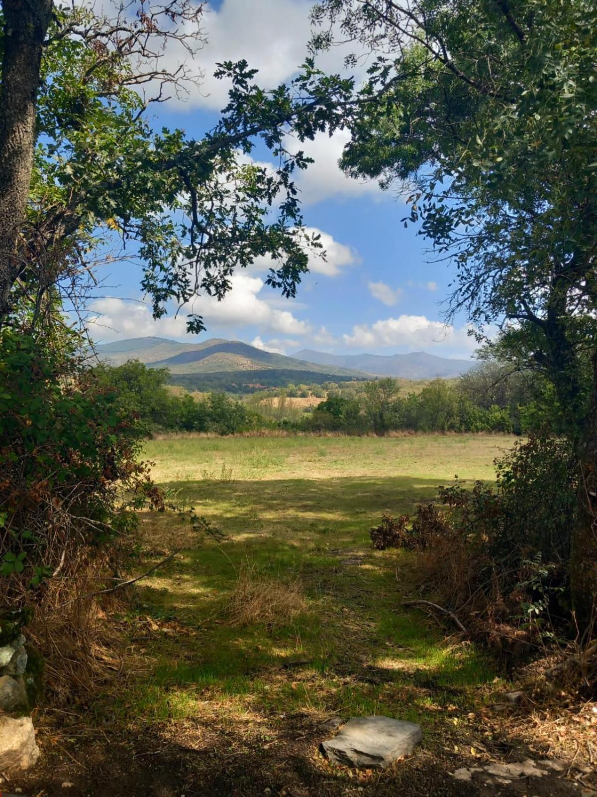Al Viento, Alojamiento & Turismo Rural Pradena Del Rincon Extérieur photo