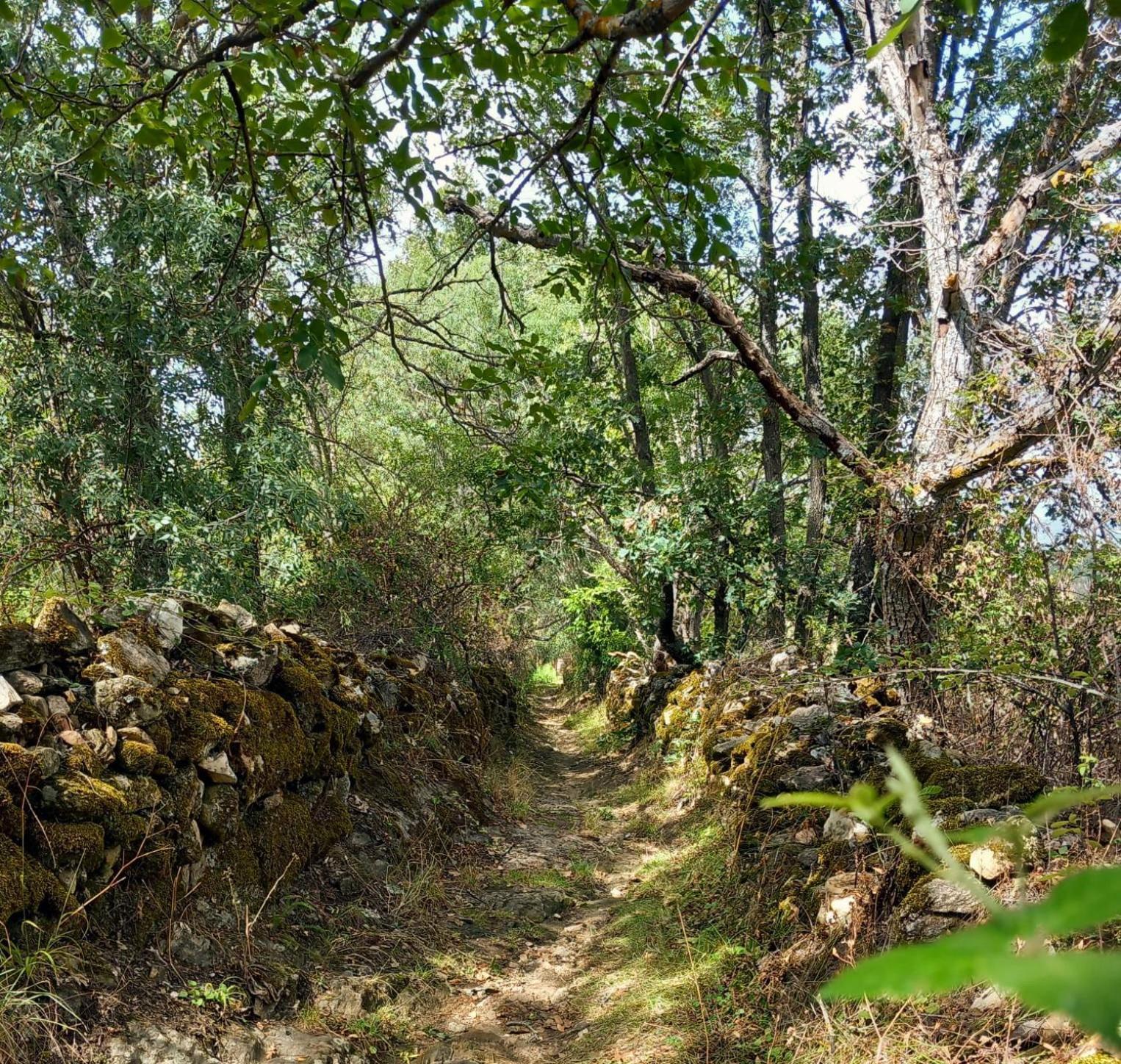 Al Viento, Alojamiento & Turismo Rural Pradena Del Rincon Extérieur photo